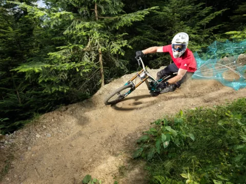 Internet, TV & Telefon