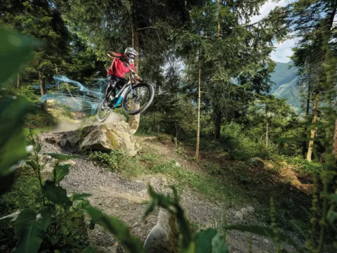 EWS Fiber-Konfigurator