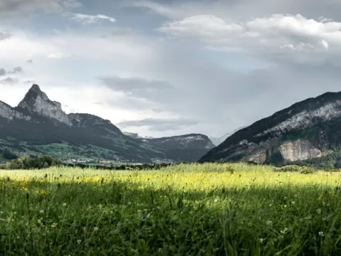 Bestellformular Gebäudeinformatik EWS